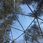 Ξενοδοχείο Finndome- Glamping