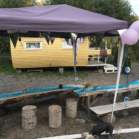 호텔 Finndome- Glamping 2*