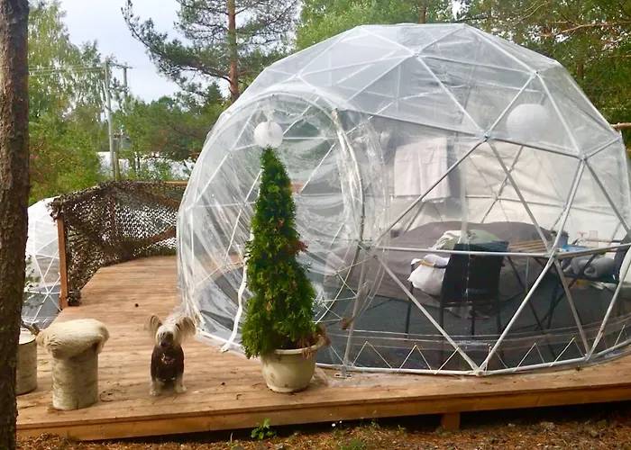 Finndome- Glamping 2* بوري