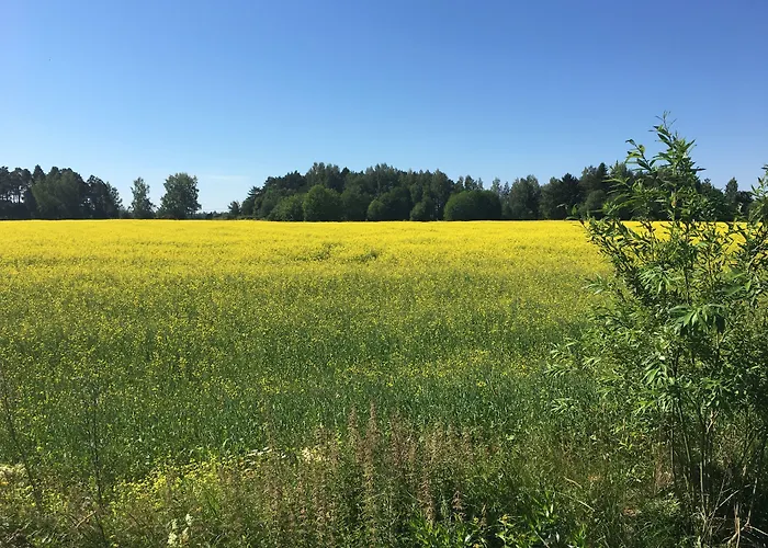 Finndome- Glamping 호텔 포리